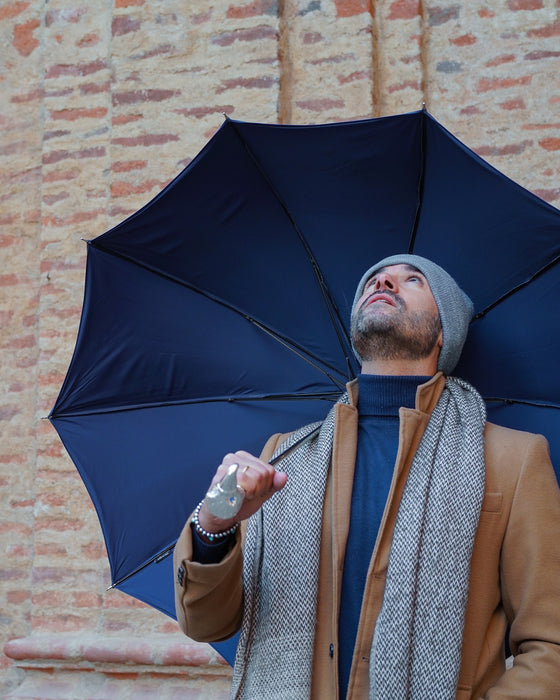 Unique Elegant Men's Umbrella Featuring a Silver-Plated Hawk Handle