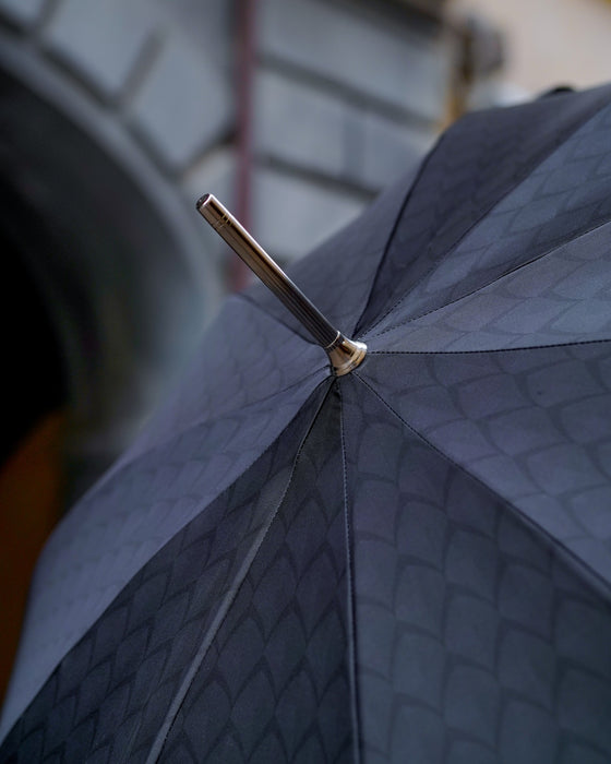 Umbrella with Dragon’s Fury Handle, Fashion Umbrella For Men