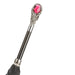 sophisticated black umbrella red gem handle