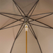 where to buy whimsical beige umbrella with boar handle