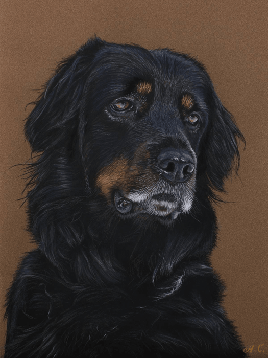 Pastel Realist Bold Dog Art Portrait - Artynov | Unique Handmade Accessories