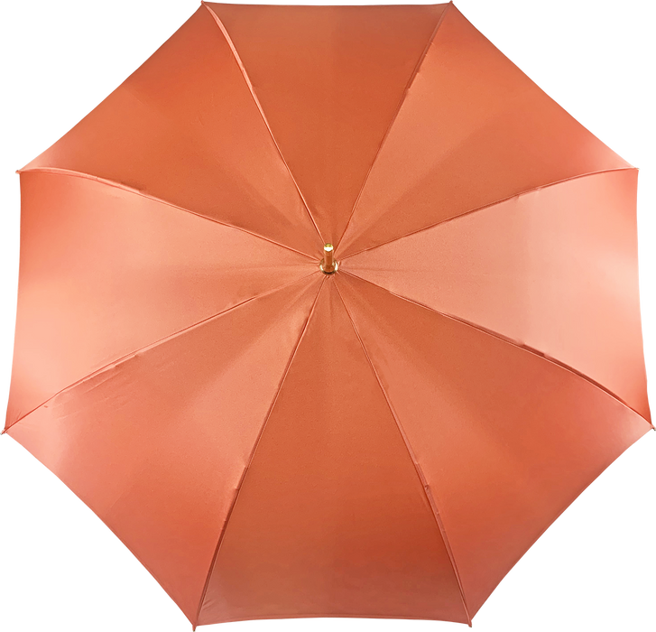 Luxury rain umbrella