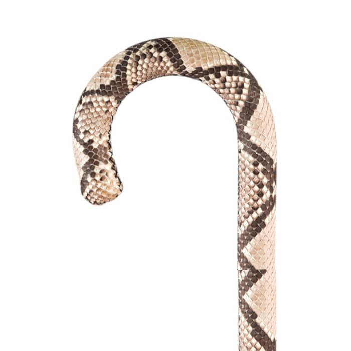 Crafted Instinct – Italian Leather Cane with Serpent Soul