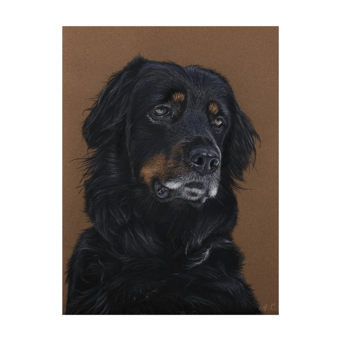 Pastel Realist Bold Dog Art Portrait