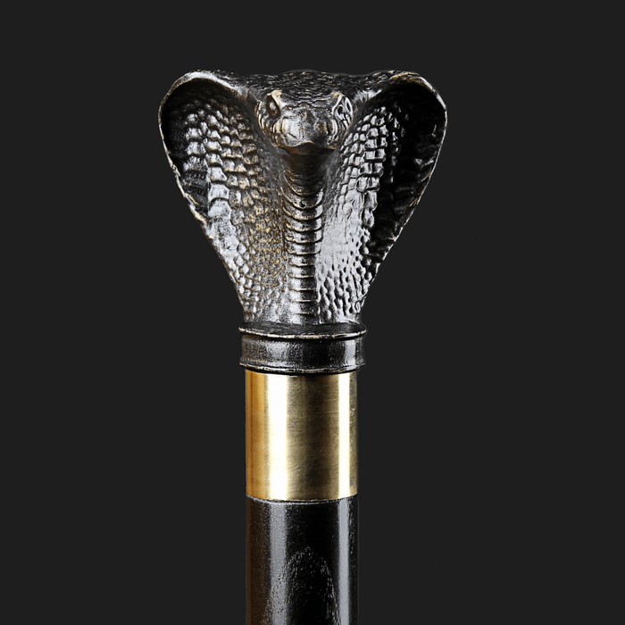 Unique black cobra walking cane