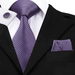 Classy Men Purple Silk Necktie