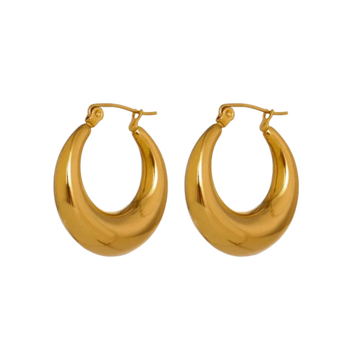 Elegant Design Earrings