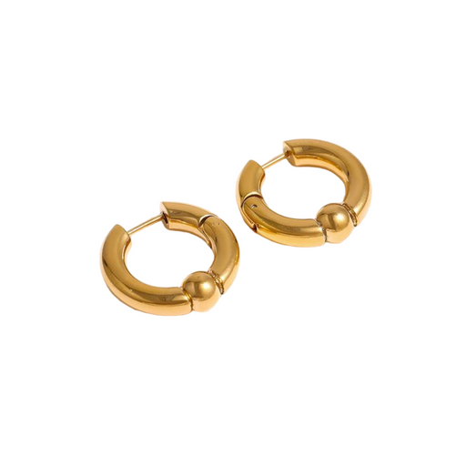 Classic Design Earrings for Women