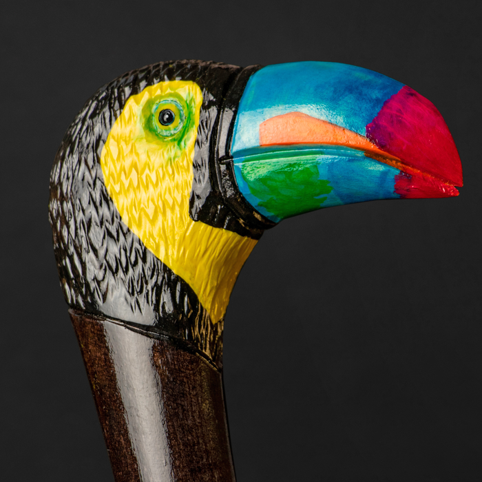 Hand-painted ergonomic walking cane toucan