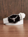 High-quality Silver Texas Western Belt For Men