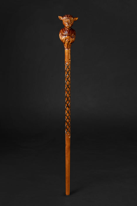 Hand-carved cane from rare antique collection