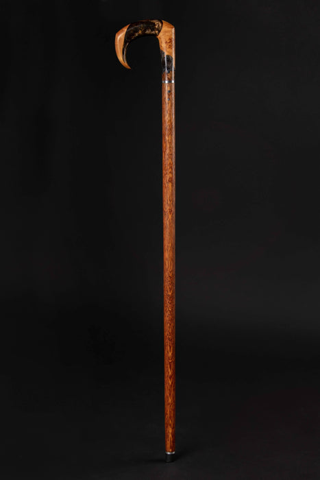 Stylish Walking Cane - Lincoln, Art Elegant Walking Canes