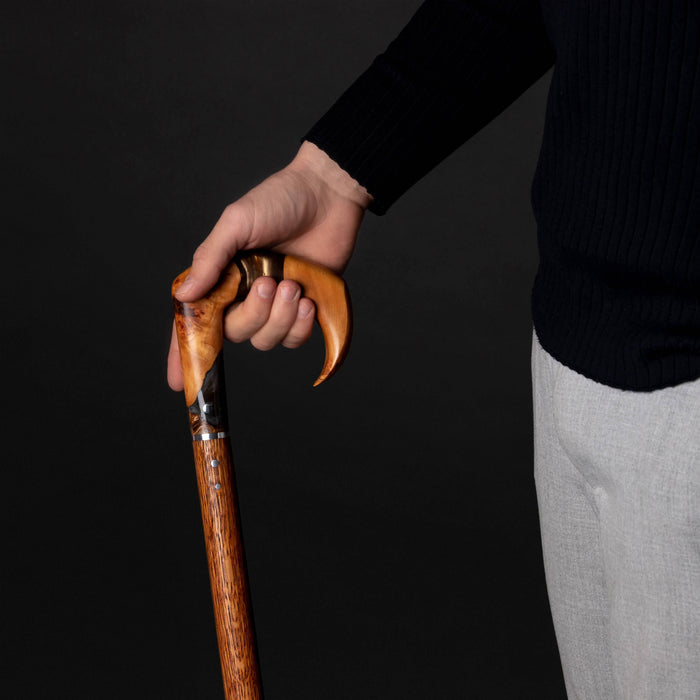 Stylish Walking Cane - Lincoln, Art Elegant Walking Canes