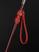 Red wrist strap for canes
