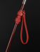 Universal Cane Wrist Strap Red, Walking Stick Leash Holder