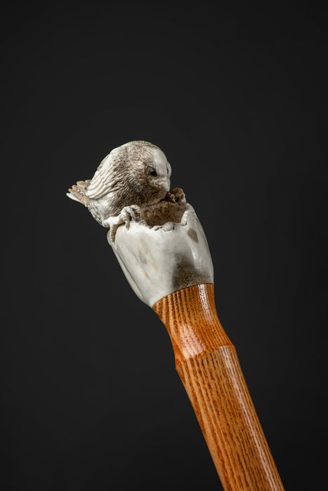Old-fashioned walking stick featuring bird on a pear design