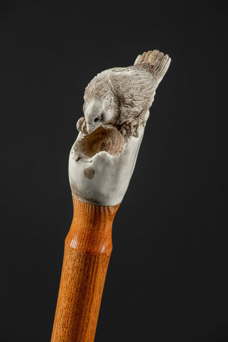 Walking cane with bone handle from antiquity