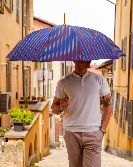 Blue and Bordeaux Striped Umbrella with Gold Snake Handle