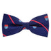 Stylish Striped Bow Tie for Men Elegant Accessory for Formal Occasions