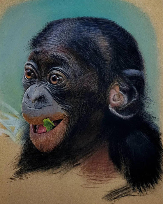 Pastel Realist Baby Chimpanzee Art Portrait