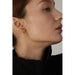 Wing Shape Earrings