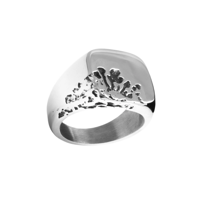 Silver Moon Imprint Signet Ring