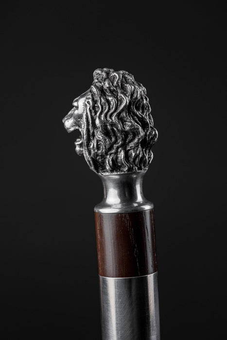 Antique Silver Lion Walking Cane, English Stick