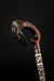 Art Animal Raven Walking Cane Hand Carved Wood Birds