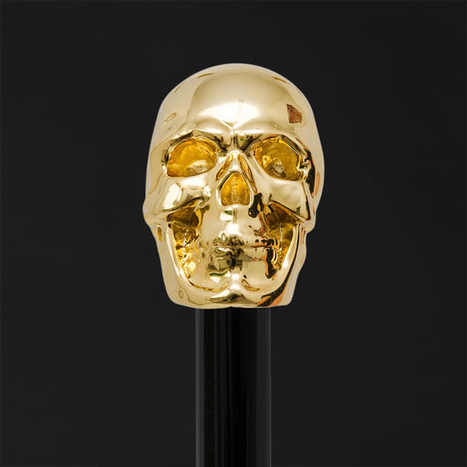 Art Black Skull Head Walking Stick, Designer Skull