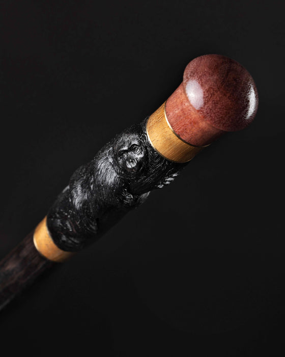 Art Buffalo Horn Gorilla with Amaranth Wood Walking Cane