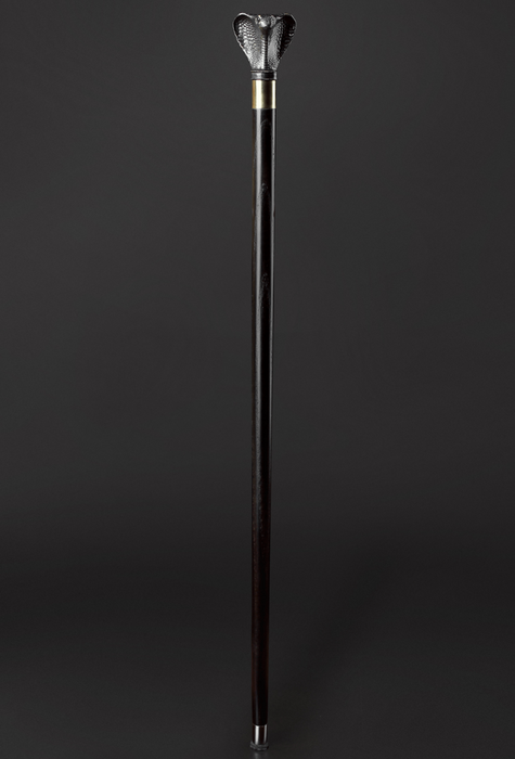 Black cobra design walking stick