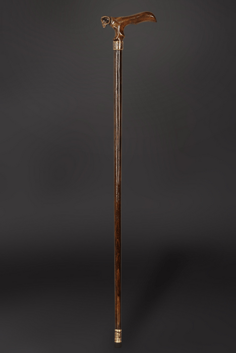 Fine antique cane for men
