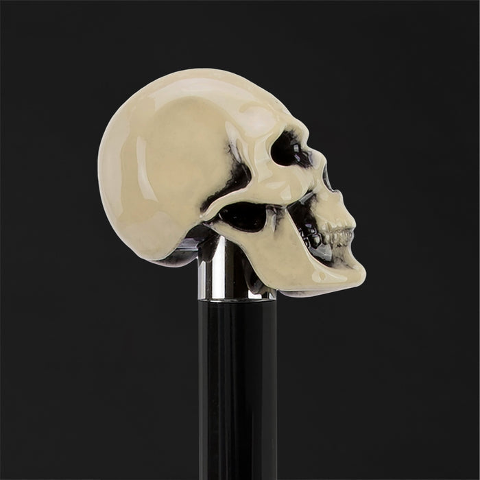 Art Black Skull Head Walking Stick, Designer Skull