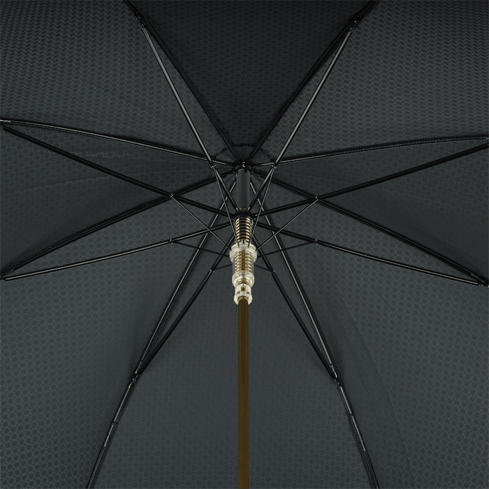 Black Umbrella with Gold Lion Handle, Luxurious Accessory