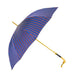 Blue and Bordeaux Striped Umbrella with Gold Snake Handle