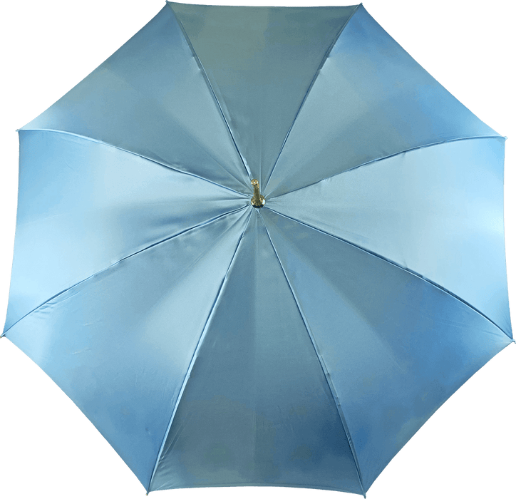 Blue Peacock Design Umbrella for Women