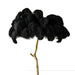 Elegant Feather-Inspired Floor Lamp with a Soft and Luxurious Design