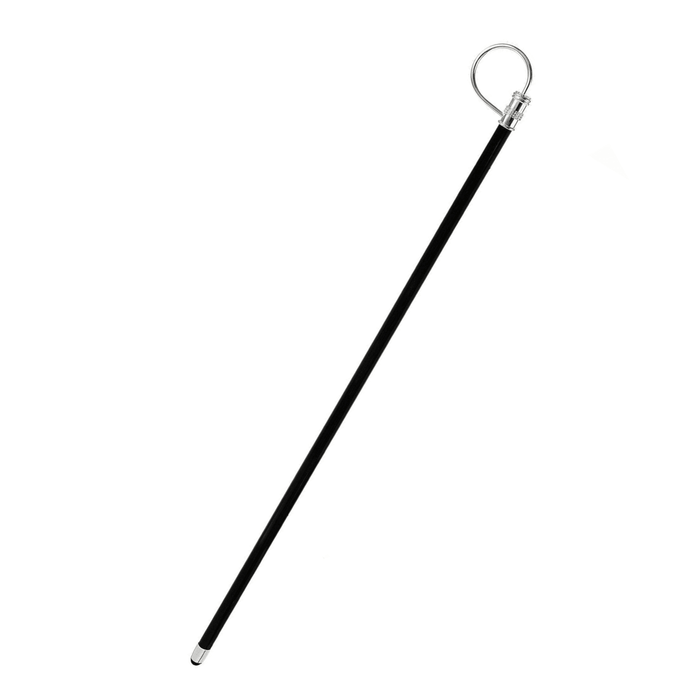 Classic Elegant Collectible Silverplated Walking Stick