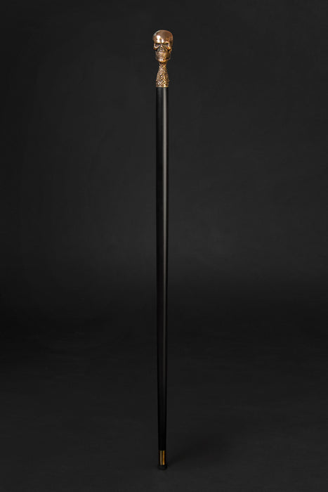 Fashionable walking cane with skull handle