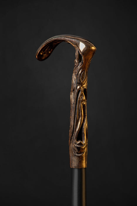 Decorative Art Walking Stick for Lady - Elegant Contemporary Art