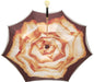 Double Cloth Umbrella with Printed Rose Design