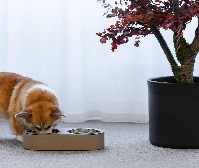 Elegant and Timeless Design Classic Luxury Pet Bowl