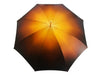 Exclusive Beautiful Double Canopy Umbrella