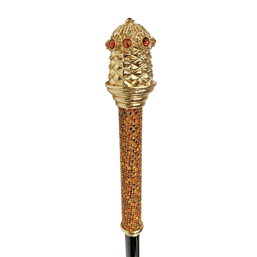 Exclusive Chic Magnificent Royal Walking Stick