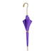 Exclusive Purple Umbrella with Yellow Crystals