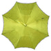 Fashionable Black and Green Umbrella for Ladies