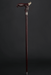 Fashionable Rhinoceros - Design Walking Stick, Wooden Cane