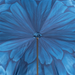 Women's Elegant Blue Dahlia Parasol