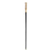 Luxury Design Elegant and Stylish Walking Stick