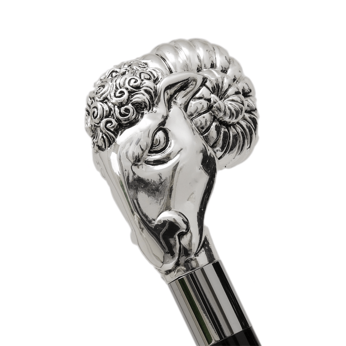 Luxury Umbrella with Silver Ram Handle, Exclusive Gift